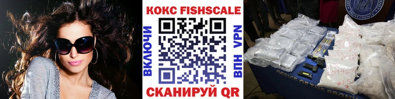 Cocaine FishScale  закладки  Луга 