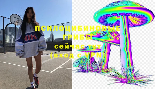 a pvp Абинск