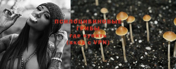 a pvp Абинск