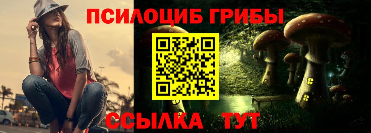 Галлюциногенные грибы ЛСД Луга