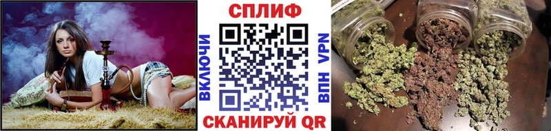 Бошки марихуана план Луга